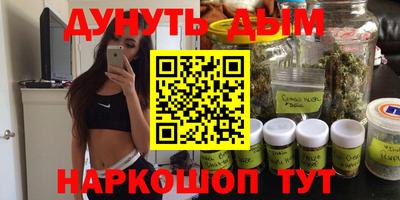 индика Бердск