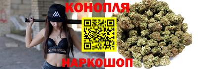 индика Бердск