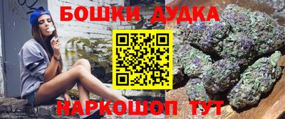 индика Бердск