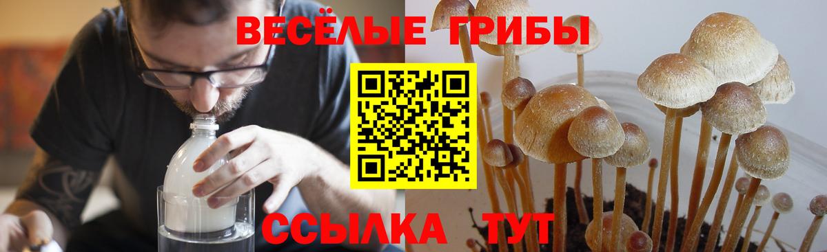 Alpha-PVP Кушва